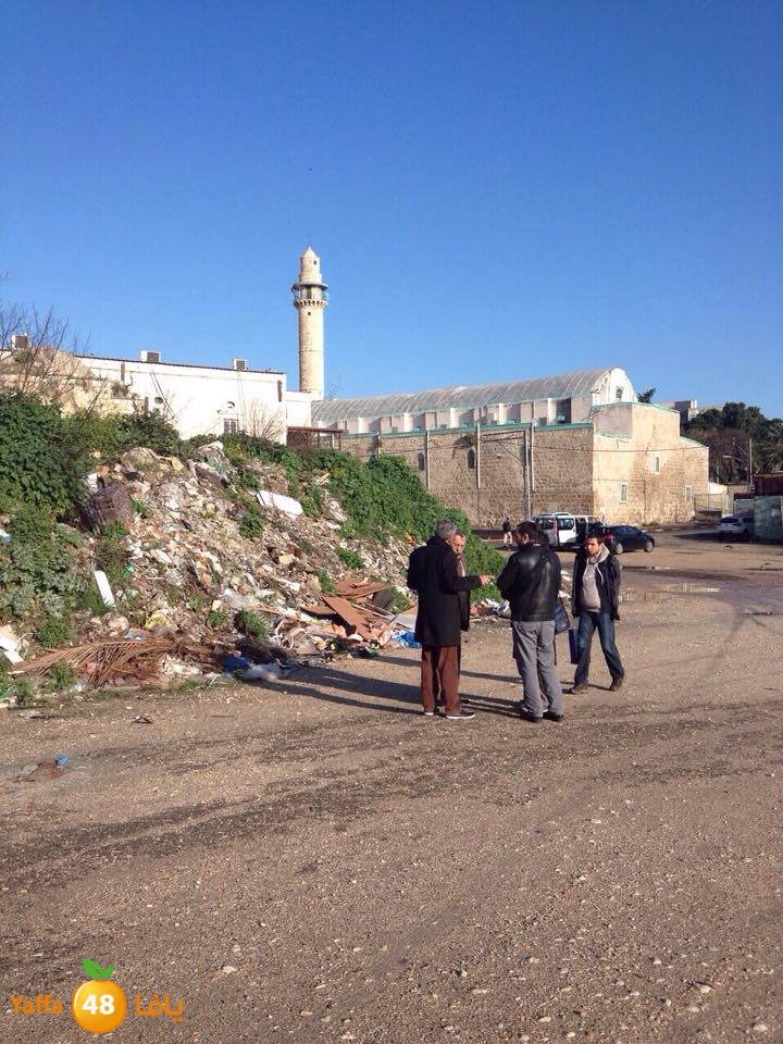 wafd turkeywqj (5).jpg